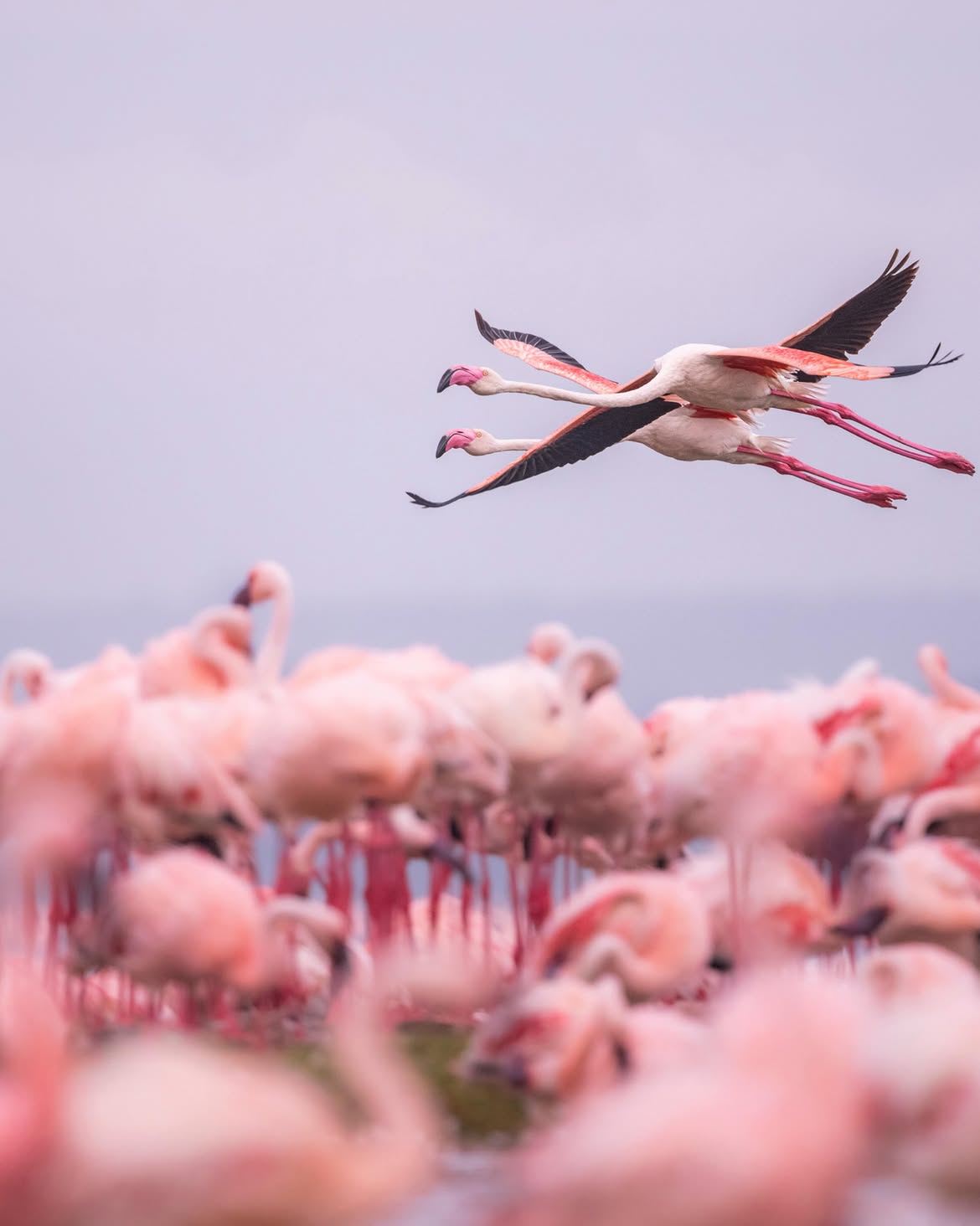 Lake Manyara National Park